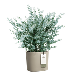 eden 25cm topo suave